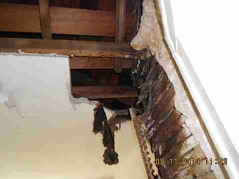 19215 Harned (42)_m.jpg